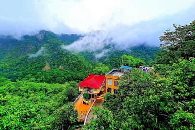 8 Hari Detoks Ayurvedic dan Retreat Yoga Hari Rishikesh di Rishikesh