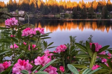 3 Day Cottage Lake B&B Spiritual Retreat в Вудинвилле, США