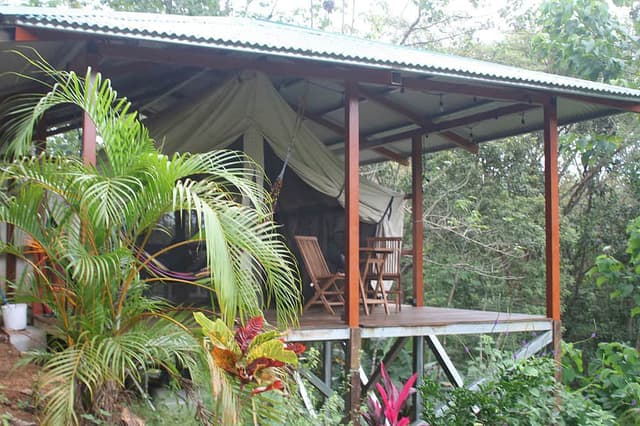Pura Veda Gurukulum