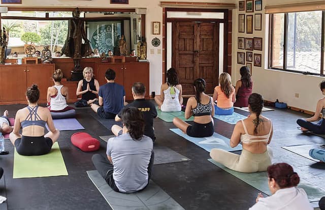 La Buena Vibra Wellness Retreats