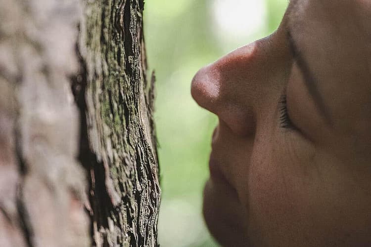 8 Day Women Retreat in South Tyrol, Italy