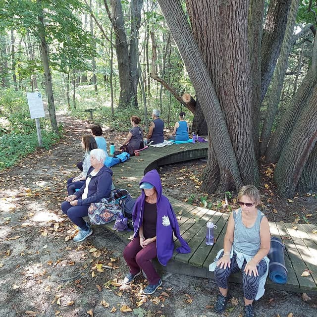 3 Day Guided Meditation & Yoga Self-Care Retreat, Michigan, US
