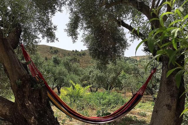 7 Day Embrace Your Nature and Body - Menopause Retreat in Spain